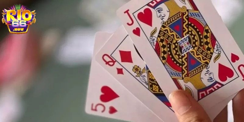 Lý do nên chọn cá cược xì dách tại cổng game