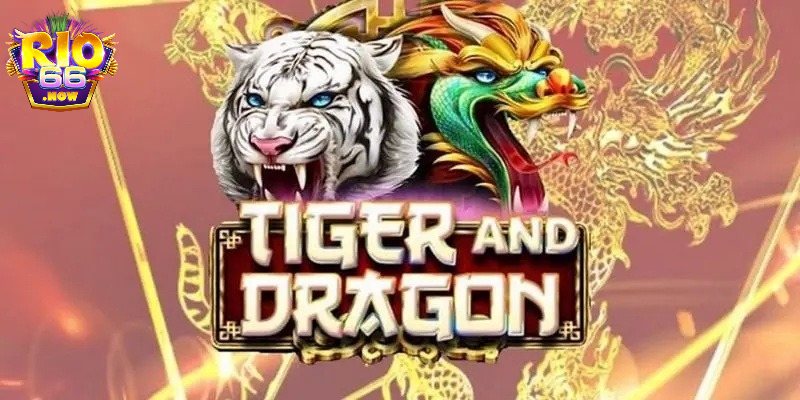 Tại sao Rồng Hổ Rio66 cuốn hút người chơi?