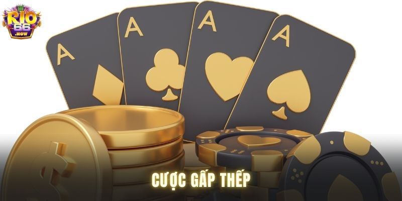 Khám phá cược gấp thếp
